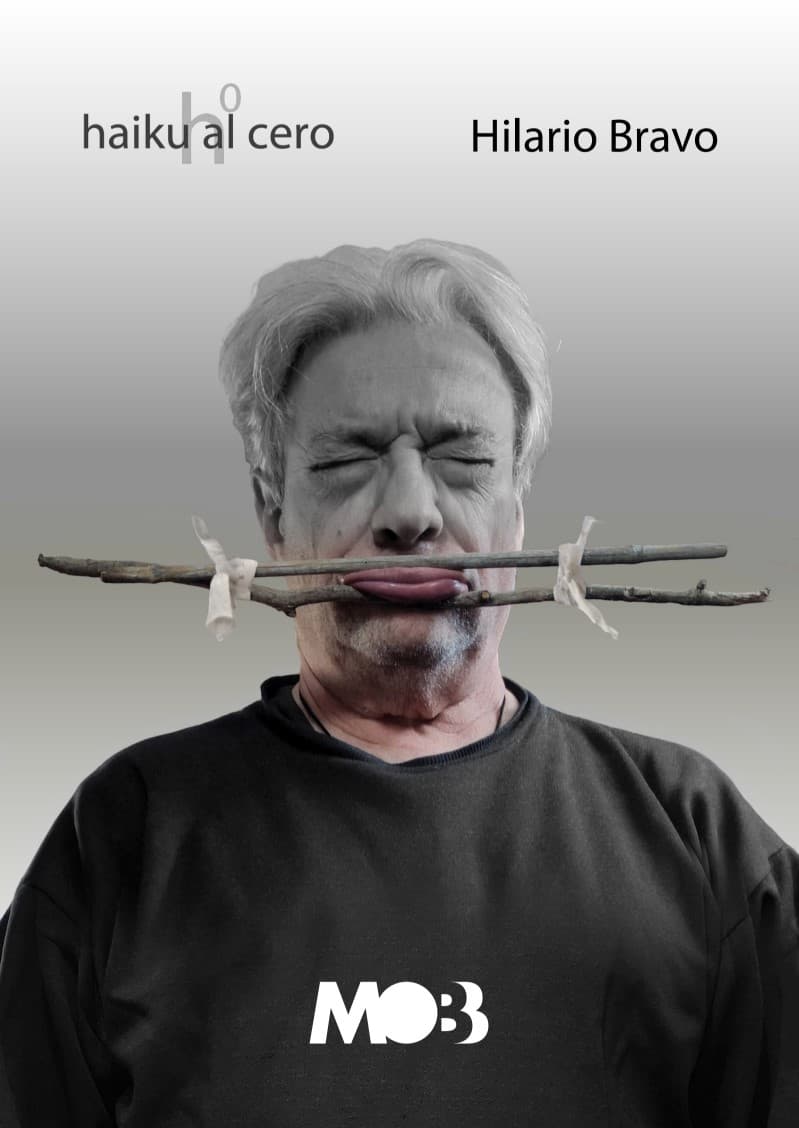 Hilario Bravo y Moob Art Club presentan 'Haiku al cero' en Madrid